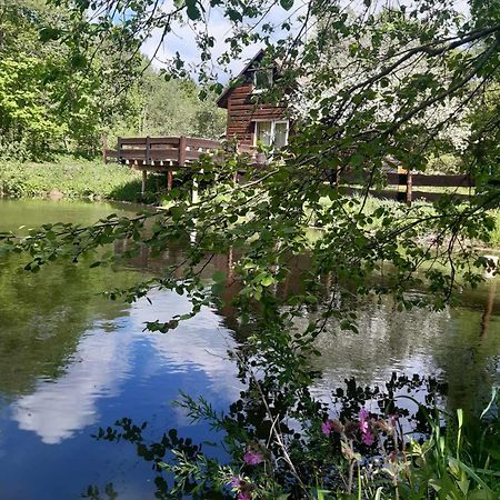 Pod Dobrym Adresem- Domek Nad Stawem チスナ エクステリア 写真