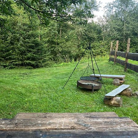 Pod Dobrym Adresem- Domek Nad Stawem チスナ エクステリア 写真