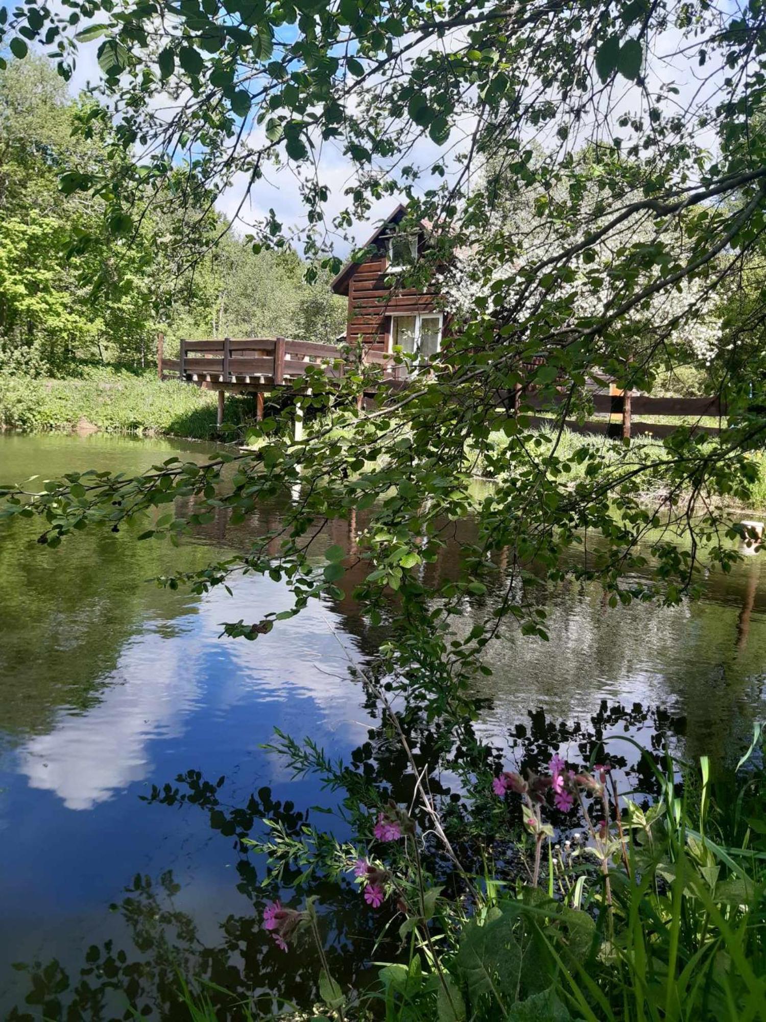 Pod Dobrym Adresem- Domek Nad Stawem チスナ エクステリア 写真