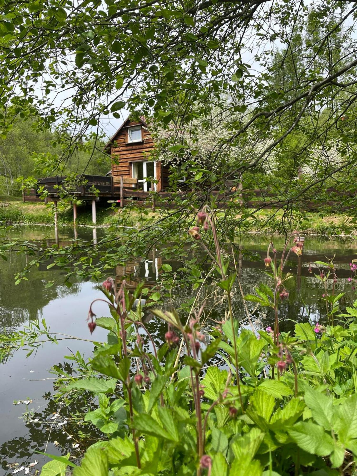 Pod Dobrym Adresem- Domek Nad Stawem チスナ エクステリア 写真