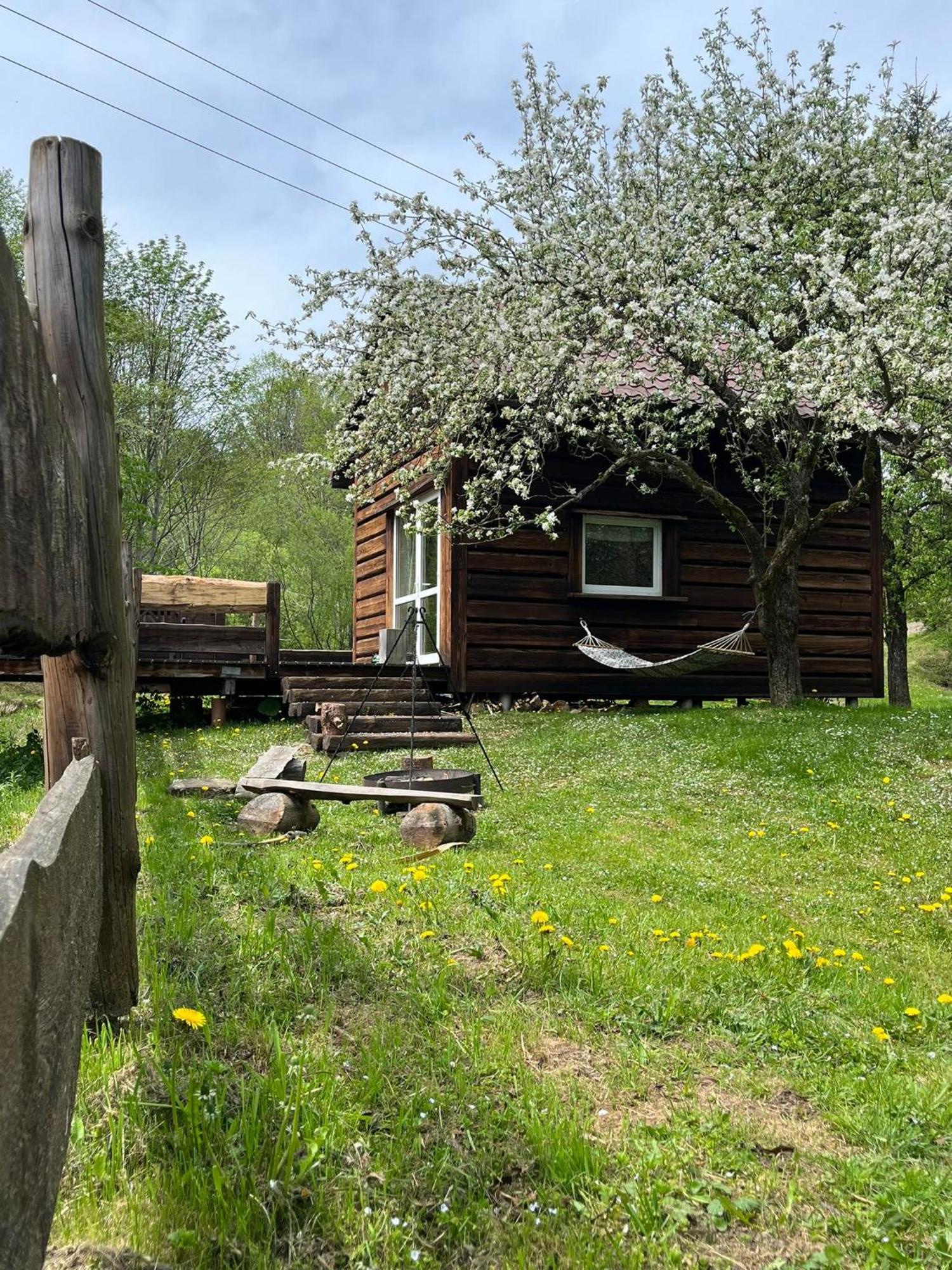 Pod Dobrym Adresem- Domek Nad Stawem チスナ エクステリア 写真