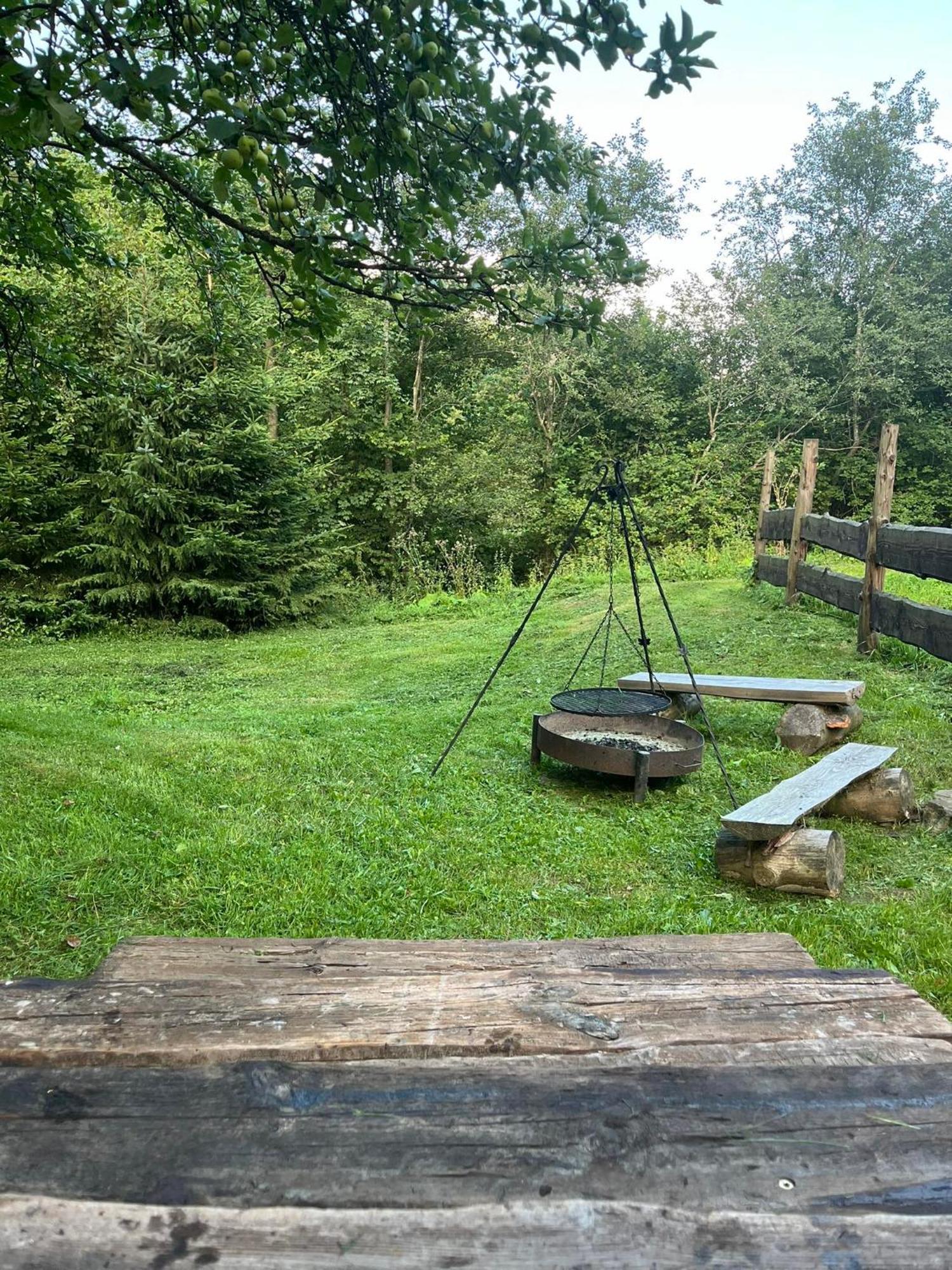Pod Dobrym Adresem- Domek Nad Stawem チスナ エクステリア 写真
