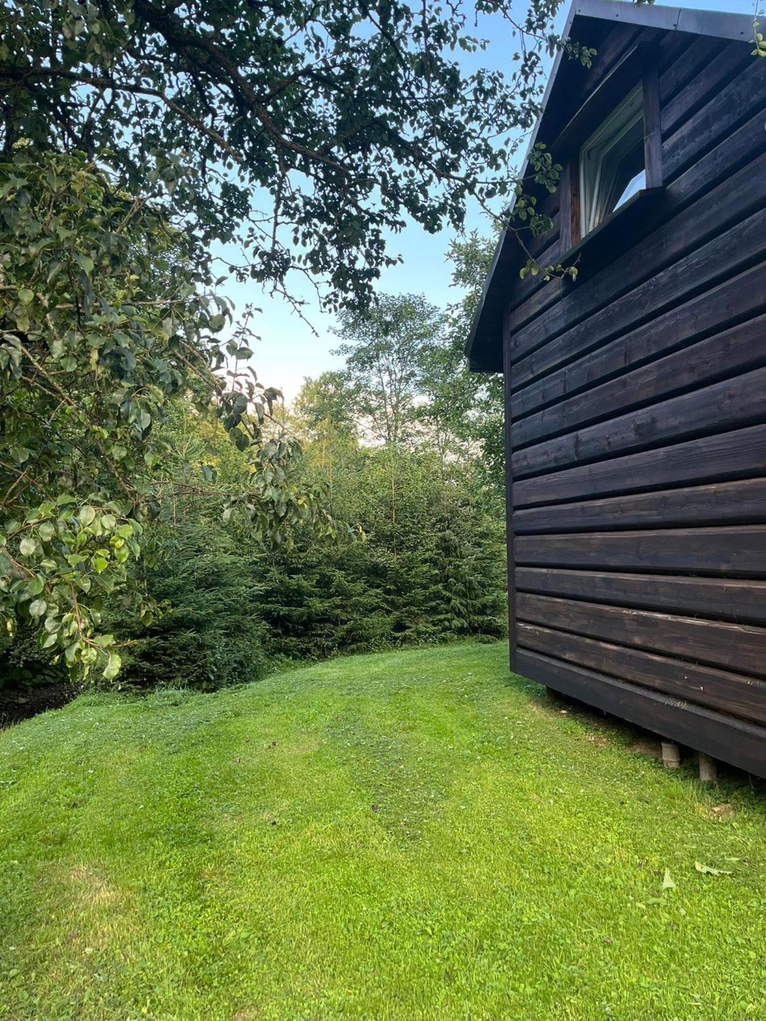 Pod Dobrym Adresem- Domek Nad Stawem チスナ エクステリア 写真